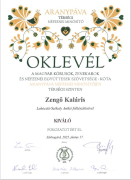 Kiváló eredmények a népzenei minősítőkön 2025.06.17.