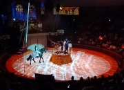 LEP_Fővárosi Nagycirkusz_8. évfolyam