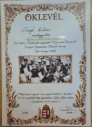 Tiszán innen, Dunán túl... Minősítő Népdaléneklési Verseny 2026.