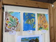 Újabb rajzos eredmények