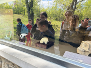 Föld napi kirándulás 2026.