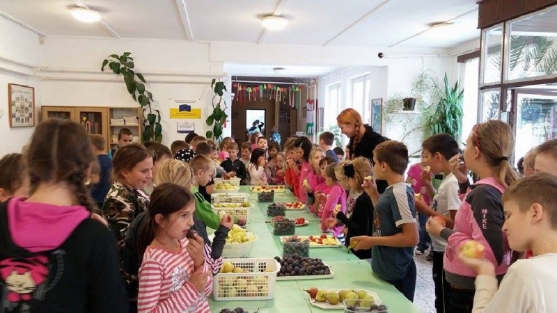 TÁMOP 3.1.4.C„ A töbörzsöki iskola innovatív fejlesztése”